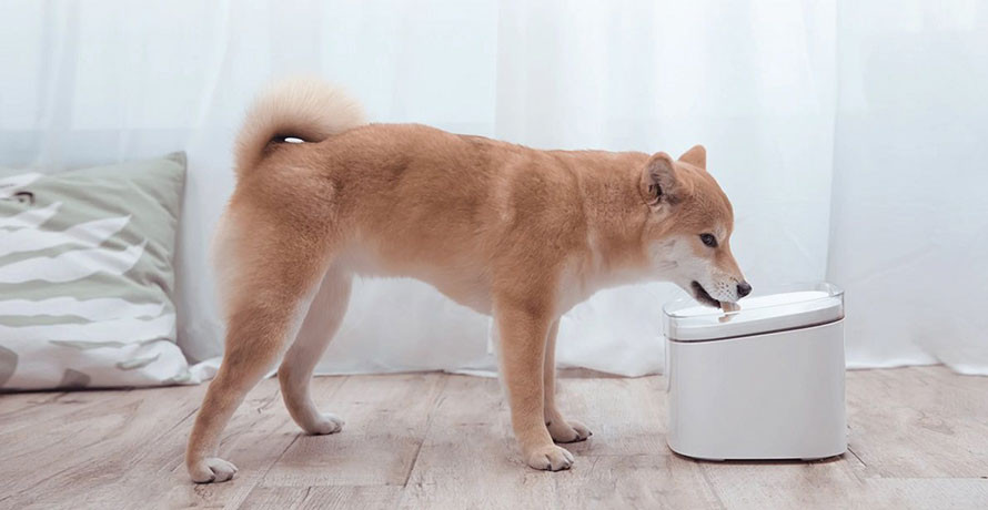 Smart Pet Fountain Filter - jednoduchá inštalácia a výmena